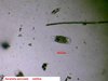 Diapositive8